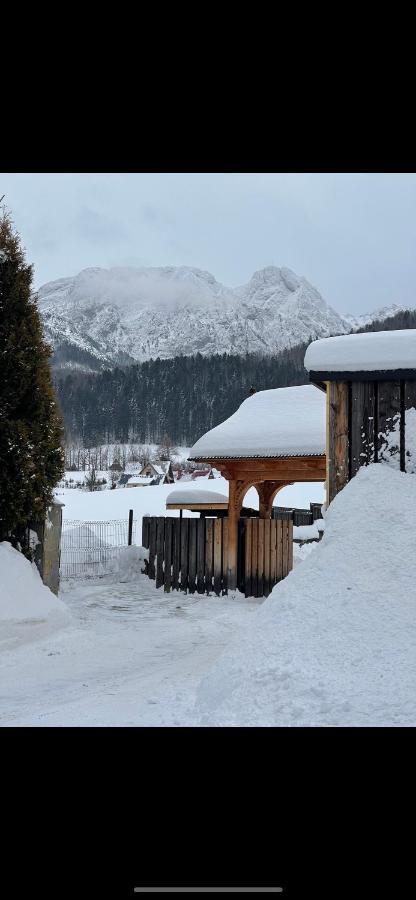 Frühstückspension Aspen House I Zakopane